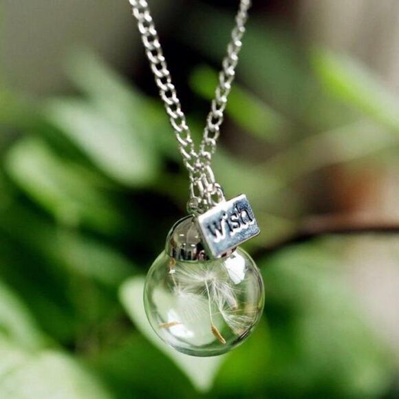 5/$25 Wish Bottle Real Dandelion Seeds Necklace - Picture 3 of 15